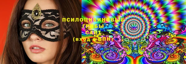 гашик Абаза
